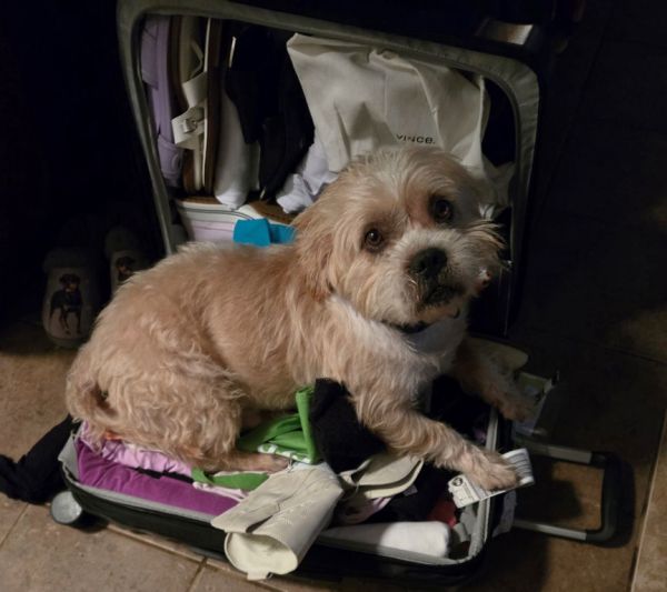 Tank The Man thumbnail 2