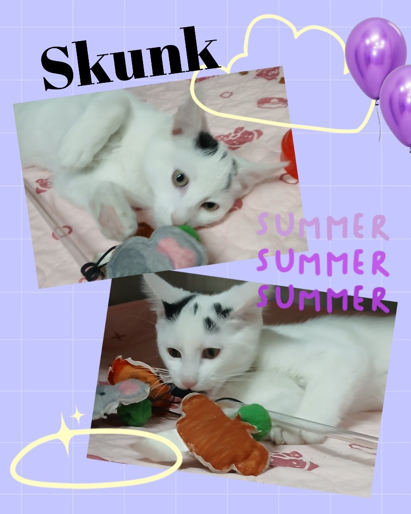 Skunk