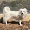 Cosette photo 2