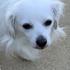 Cosette photo 3
