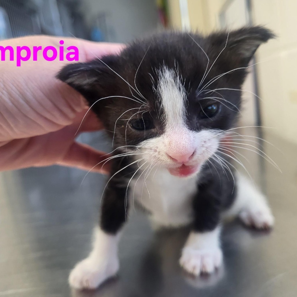 Emporia