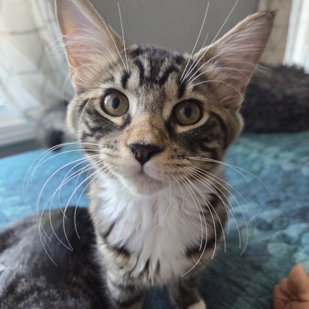 Milo