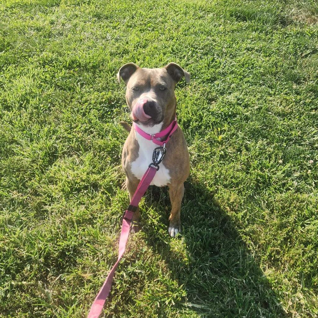 Maxine (Sponsored)