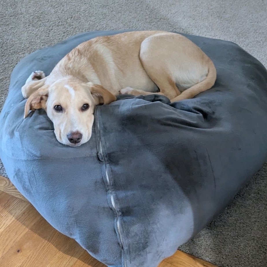 ButterBall