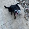 Remi photo 3