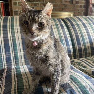 Pixel, Senior Female unknown