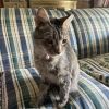 Pixel photo 2