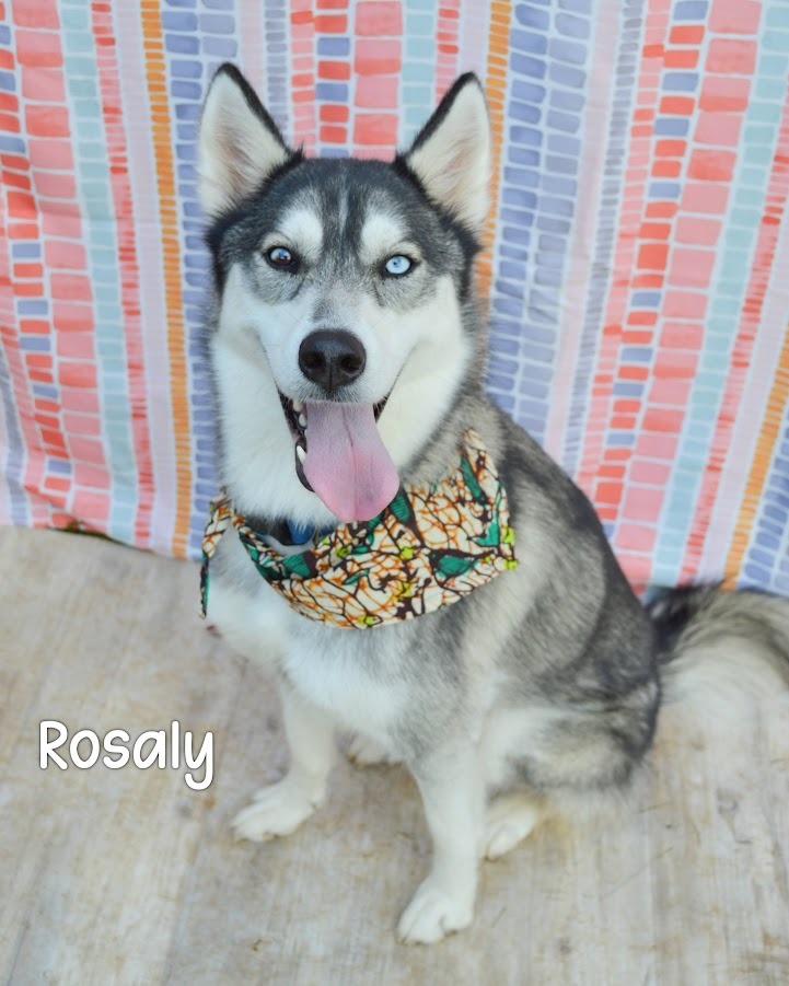 Rosaly