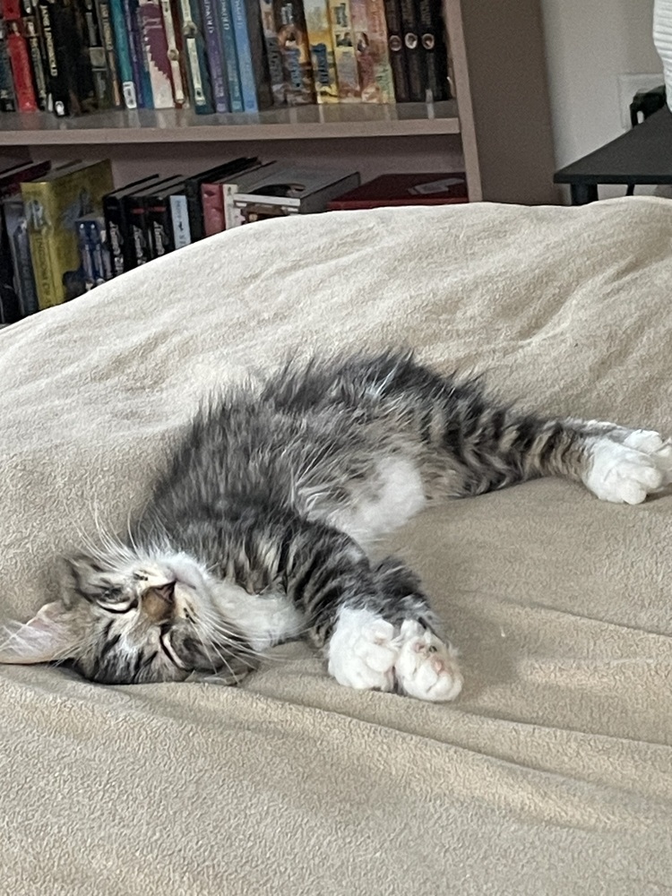 Basil