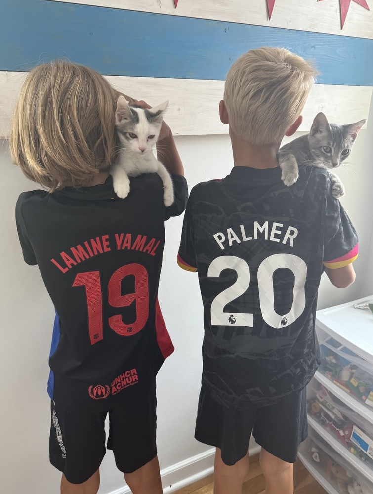 Lamine (bonded to Palmer)