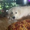 Parker photo 2