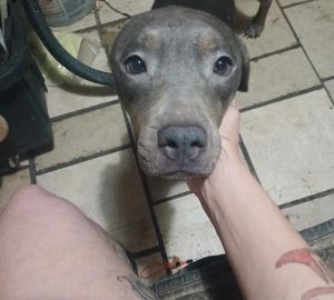 MISSY, Young Female unknown