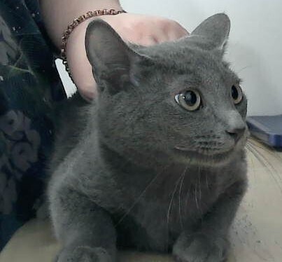 Valentin