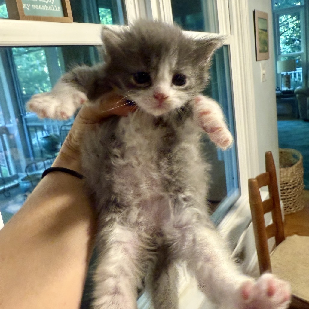 Fluffy