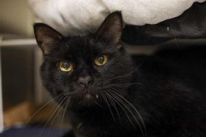 Salem, Senior Male unknown