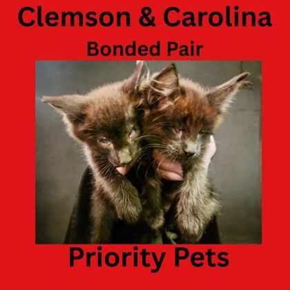 Clemson