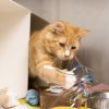 Sheryl -- Bonded Buddy With Tanya photo 4