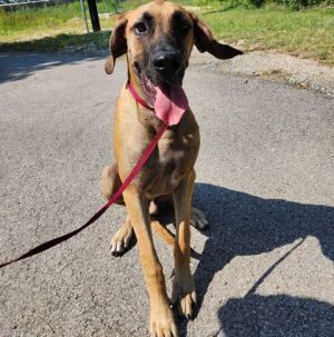 59074544, Adult Male unknown