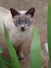 Judy Blue Eyes photo 2