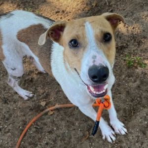 59076422, Adult Male unknown