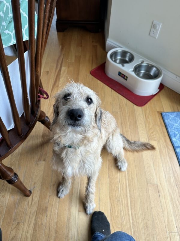 Obi Aka Ben (park