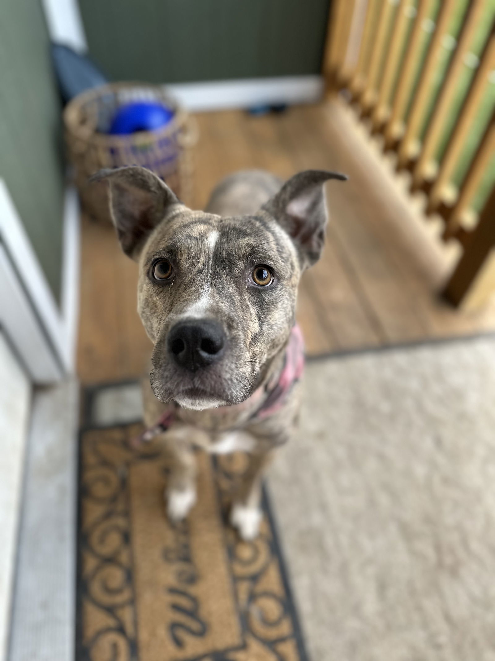 Coco Chanel