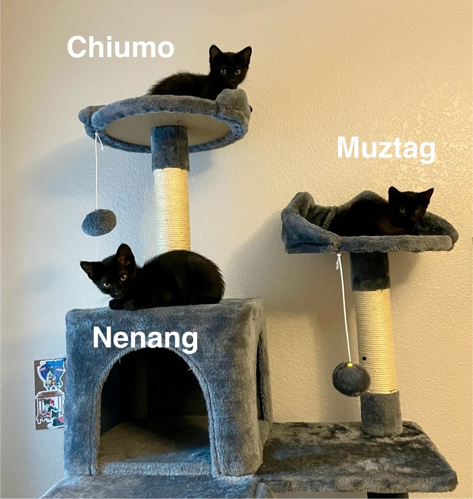 Chiumo