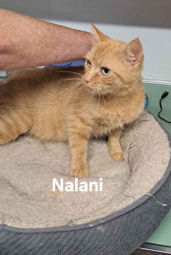 Nalani