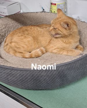 Naomi, Young Female unknown