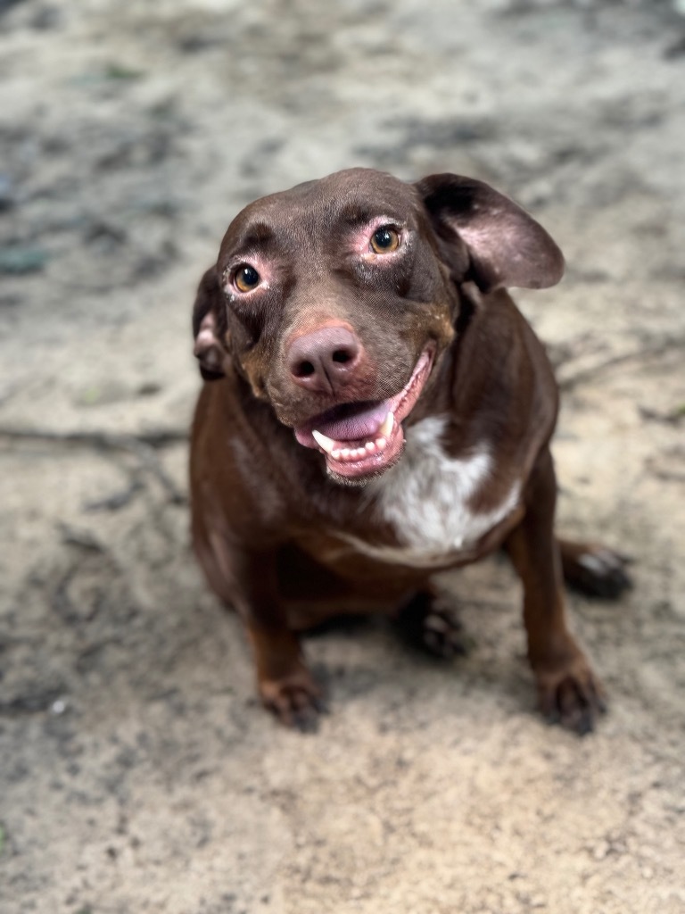 Coco