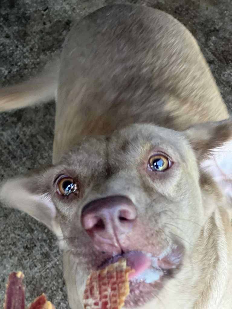 Sadie