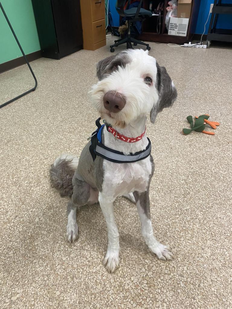 Walter