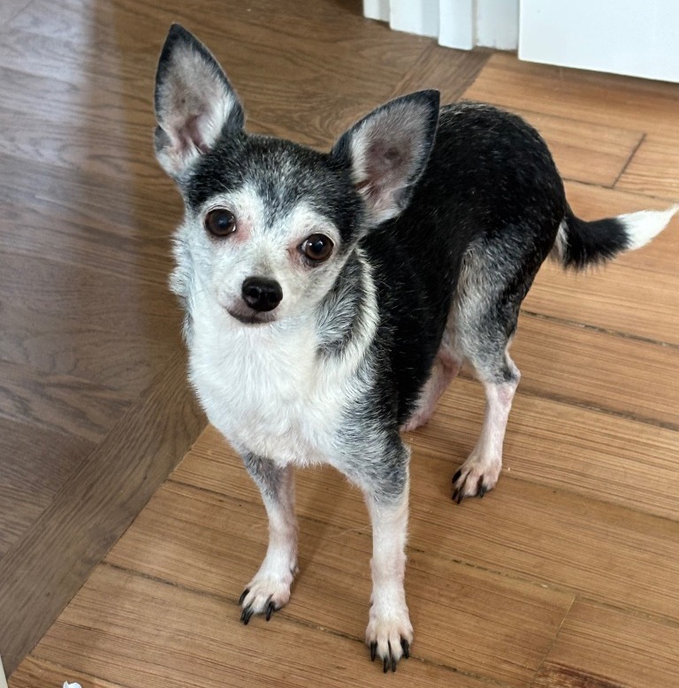 Mia