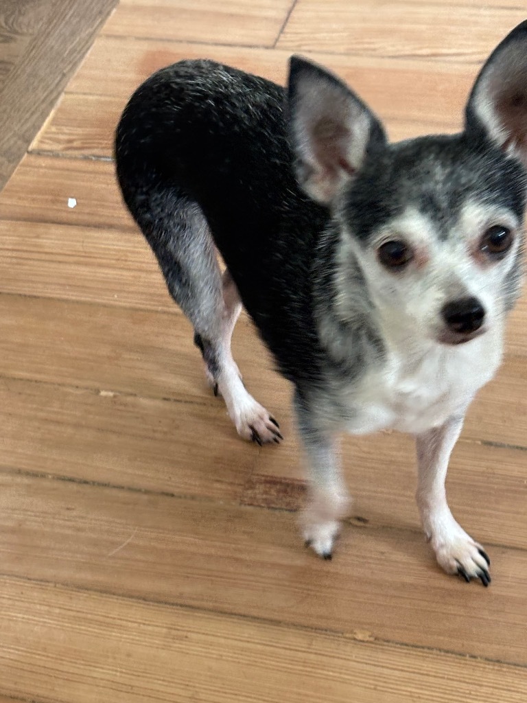 Mia