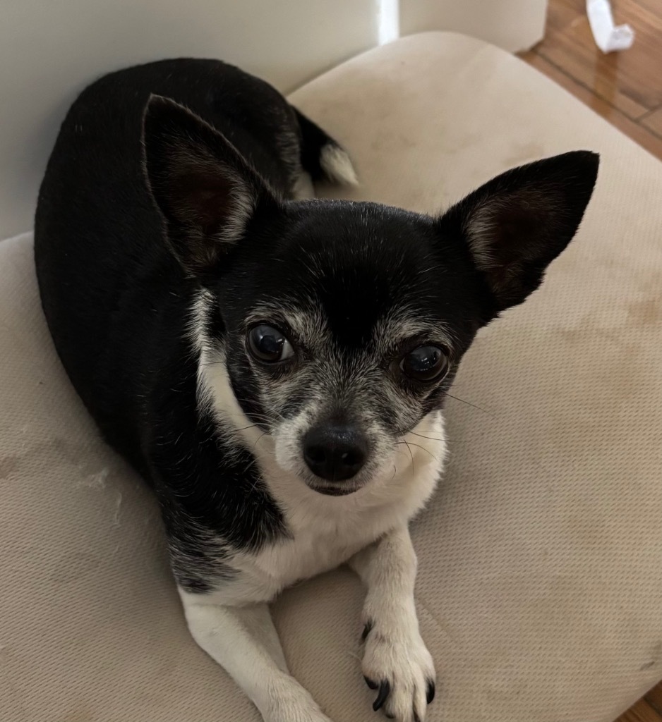 Bitty