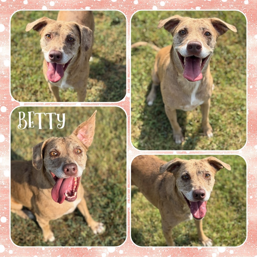 Betty