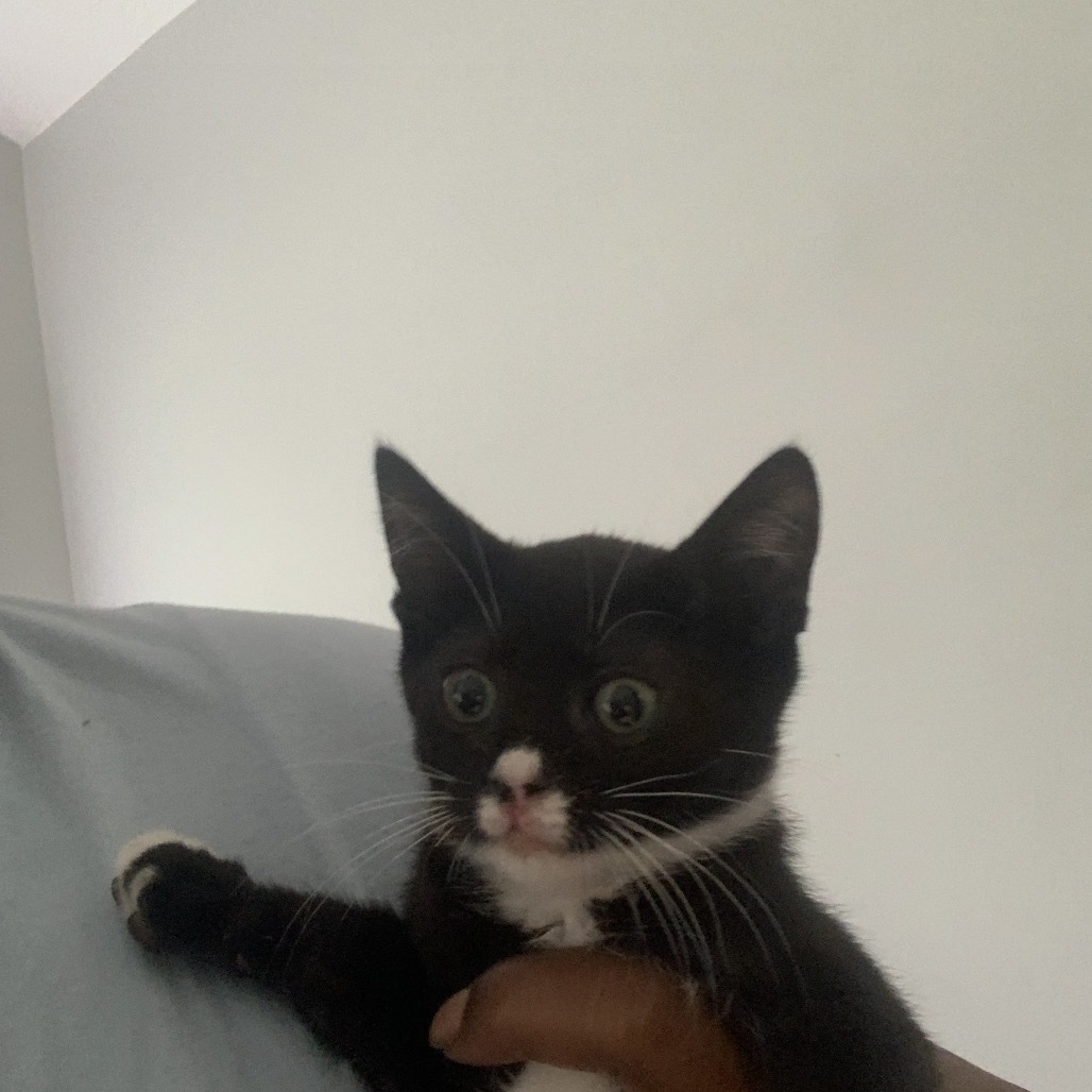 Boo