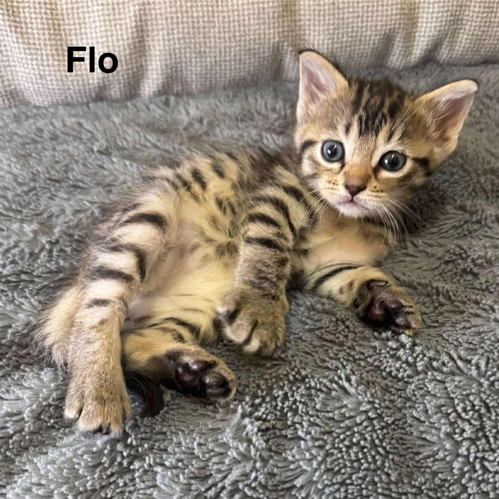 Flo