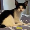 Story photo 2