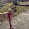 Elsa (In Foster) photo 1