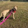 Elsa (In Foster) photo 2
