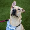 Elsa (In Foster) photo 4