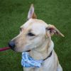 Elsa (In Foster) photo 5