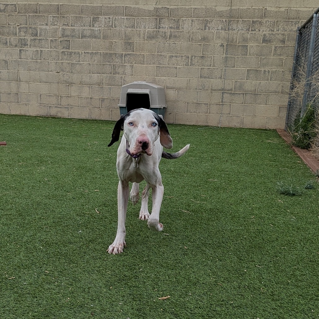 Ivy - Shy, Deaf Girl, Loves Food!