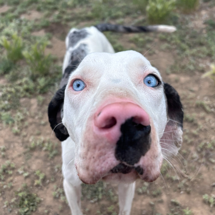 Ivy - Shy, Deaf Girl, Loves Food!