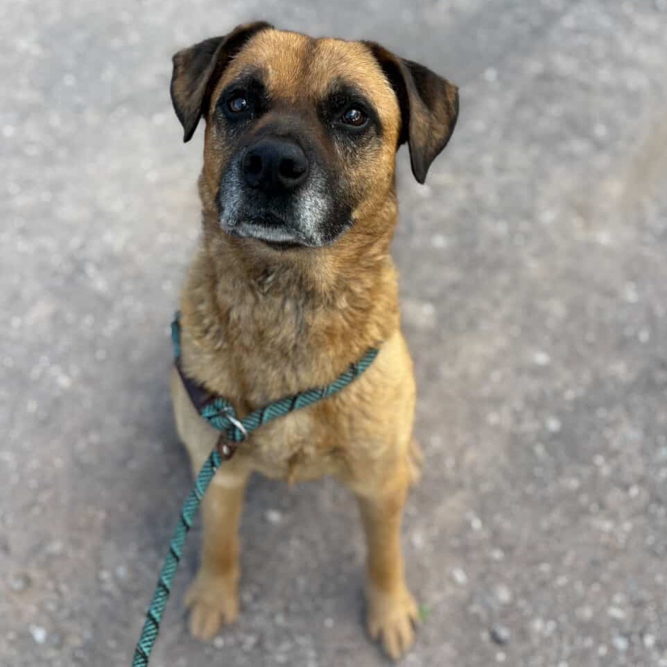 Neeson - Chill Senior Guy!
