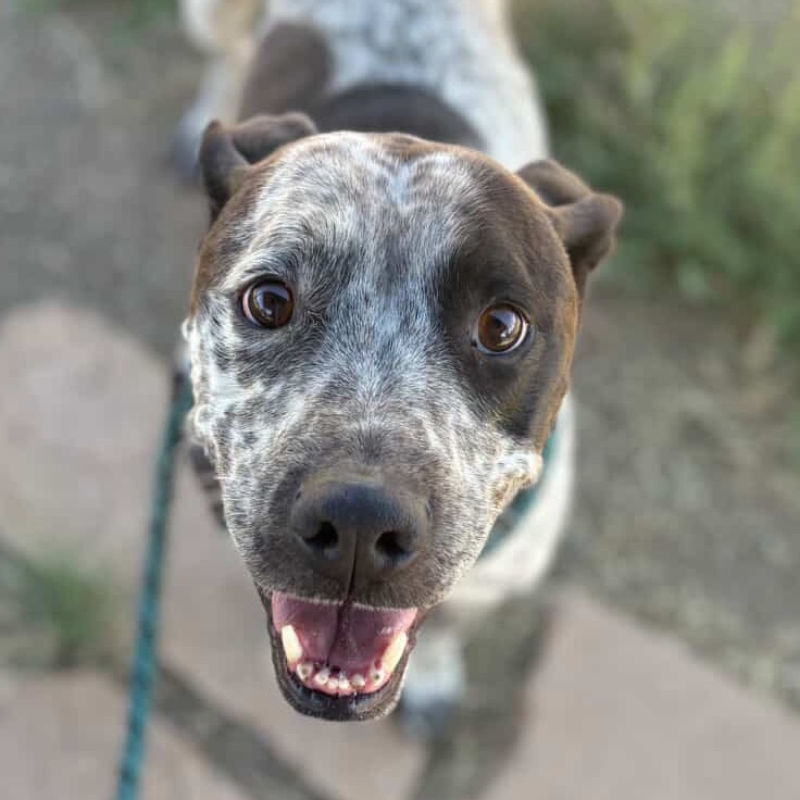 Sweetheart - Sweetest Girl With The Biggest Smile!