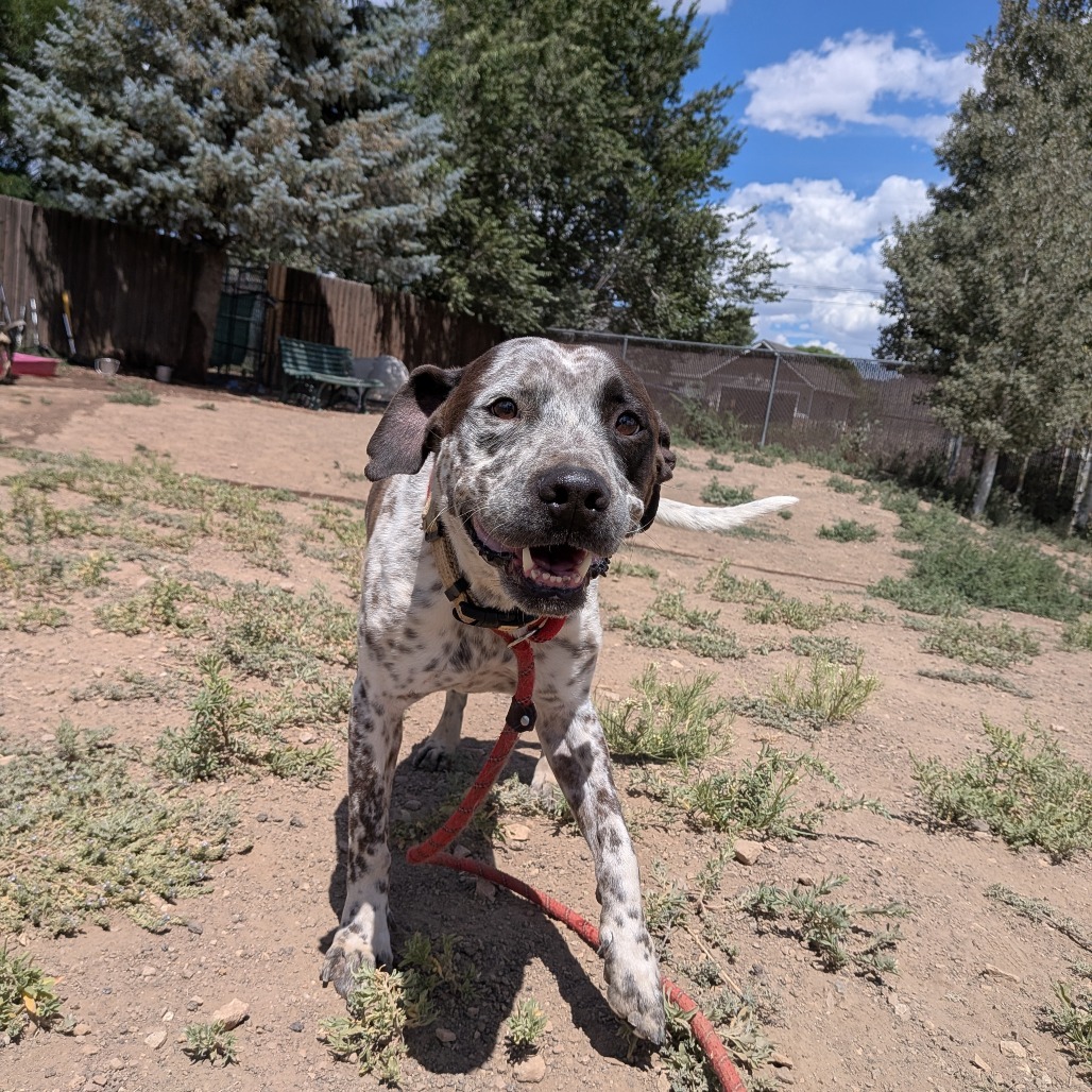 Sweetheart - Sweetest Girl With The Biggest Smile!