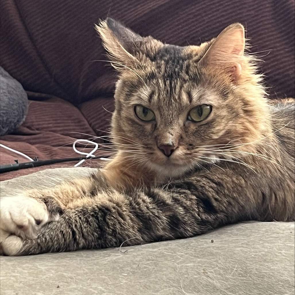 Athena