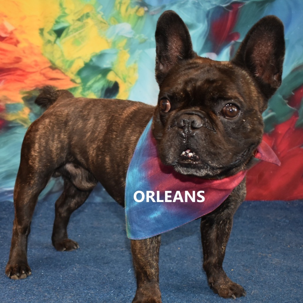 Orleans